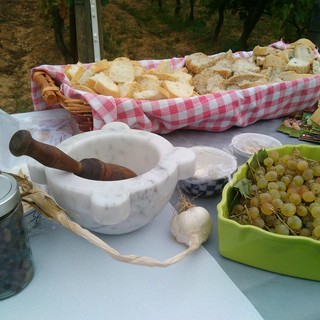 Un trionfo di musica e sapori: piace la &quot;Wine Experience&quot; ad Arnasco (FOTO e VIDEO)