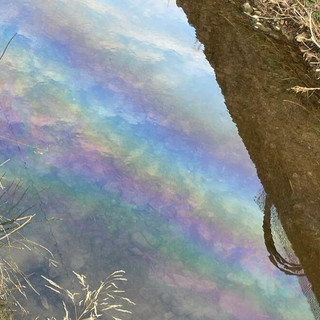 Albenga, sversamento di gasolio nel rio Carenda, il sindaco: &quot;Intervenuti in tempo per contenere il pericolo&quot;