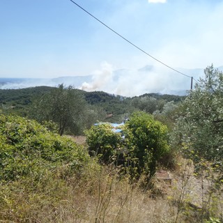 Incendi, l'allarme di Coldiretti: "5 grandi roghi ogni giorno dall’inizio dell’estate"
