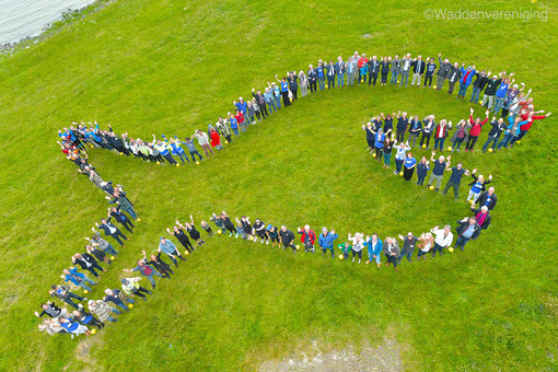 Giornata mondiale della migrazione dei pesci, Enpa: "I fiumi devono essere lasciati aperti ai pesci"