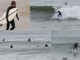 Vado Ligure: con vento e onde una domenica perfetta per gli amanti del surf (FOTO e VIDEO)