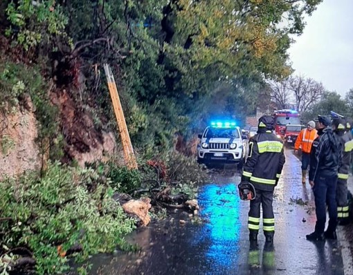 Borgio, alberi caduti lungo la strada per Verezzi: intervento dei vigili del fuoco (FOTO)