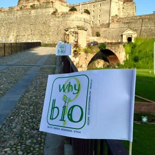 "Whybio?" a Savona, le novità della nona edizione: viaggi olfattivi, immersive room, yoga e conferenze