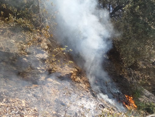 Incendi nell'albenganese, Mulè (Forza Italia): &quot;Solidarietà e vicinanza alla comunità di Albenga&quot;