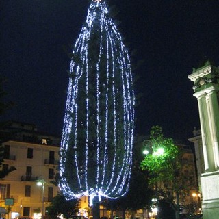 "Un Albero permanente in ogni Piazza, da addobbare per il Natale": la proposta del WWF Savona