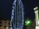"Un Albero permanente in ogni Piazza, da addobbare per il Natale": la proposta del WWF Savona