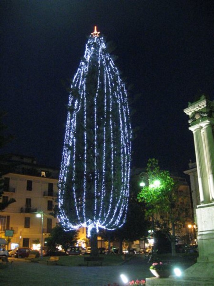 "Un Albero permanente in ogni Piazza, da addobbare per il Natale": la proposta del WWF Savona "Un Albero permanente in ogni Piazza, da addobbare per il Natale": la proposta del WWF Savona