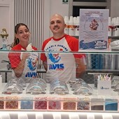 Giornata del Donatore di Sangue, appuntamento il 14 giugno con Avis Loano nella sede di Via Simone Stella Giornata del Donatore di Sangue, appuntamento il 14 giugno con Avis Loano nella sede di Via Simone Stella