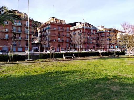 Borghetto punta sul verde: piantati 40 alberi (FOTO)