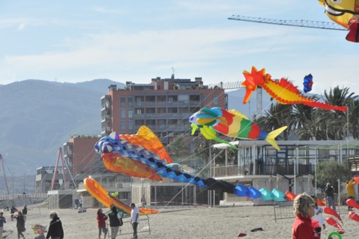 Sabato e domenica a Savona aquiloni da tutto il mondo con "One Sly one World" Sabato e domenica a Savona aquiloni da tutto il mondo con "One Sly one World"