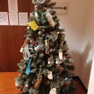 Savona, "l'albero della plastica" di Assonautica per aiutare il mare Savona, "l'albero della plastica" di Assonautica per aiutare il mare