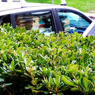 Auto abbandonate nel park di una banca ad Albenga: "Degrado, sembrano due catorci bellici" Auto abbandonate nel park di una banca ad Albenga: "Degrado, sembrano due catorci bellici"