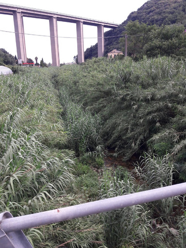 Tovo San Giacomo: via libera alla pulizia del torrente Maremola