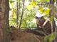Zootecnia, dalla Regione Liguria 600mila euro per il benessere animale Zootecnia, dalla Regione Liguria 600mila euro per il benessere animale