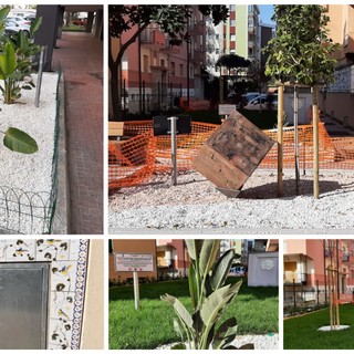 Albissola, completata la riqualificazione delle aiuole di viale Faraggiana: le ceramiche diventano arredo urbano