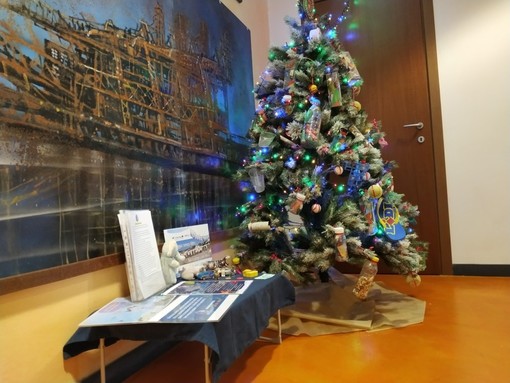 In Assonautica a Savona Natale all'insegna del rispetto per l'ambiente con “L'Albero della Plastica” In Assonautica a Savona Natale all'insegna del rispetto per l'ambiente con “L'Albero della Plastica”