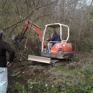 Modifica alla legge di stabilità per i danni agricoli. La CIA: "Esprimiamo soddisfazione"