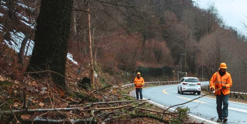 Calizzano, alberi e rami sulle strade causa neve: il Comune invita i proprietari terrieri a intervenire