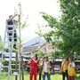 Sassello, un Ginkgo Biloba per non dimenticare: al Museo Perrando un messaggio di comunità e memoria