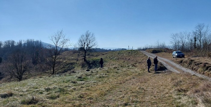Parco eolico "Bric Surite", il Comitato: "Gli alberi monumentali sono a rischio di abbattimento" Parco eolico "Bric Surite", il Comitato: "Gli alberi monumentali sono a rischio di abbattimento"