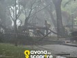 Foto pagina Facebook "Savona da Scoprire" Foto pagina Facebook "Savona da Scoprire"