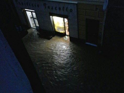 Albisolese, esondato il Rio Basco: strade e negozi allagati Albisolese, esondato il Rio Basco: strade e negozi allagati