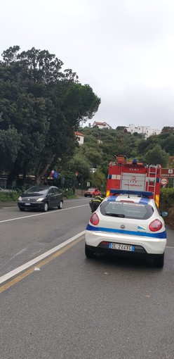 Ramo pericolante a Celle nei pressi della galleria Capo Torre: intervento dei vigili del fuoco Ramo pericolante a Celle nei pressi della galleria Capo Torre: intervento dei vigili del fuoco
