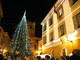 Albenga si prepara al Natale: l'albero sarà acceso l'8 dicembre