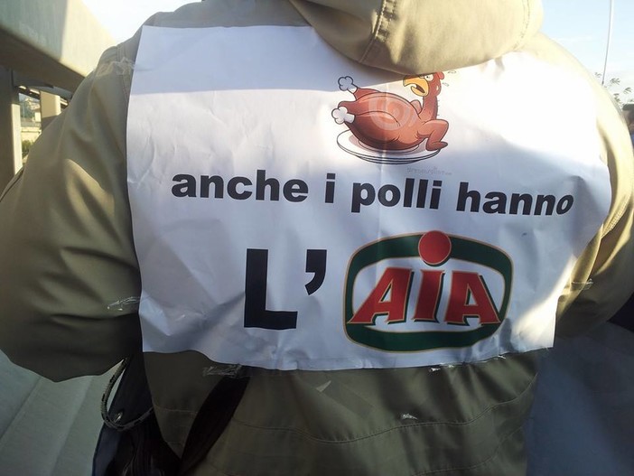 Tirreno Power: dalla Conferenza dei Servizi, si all'AIA ma come dice la Commissione IPPC