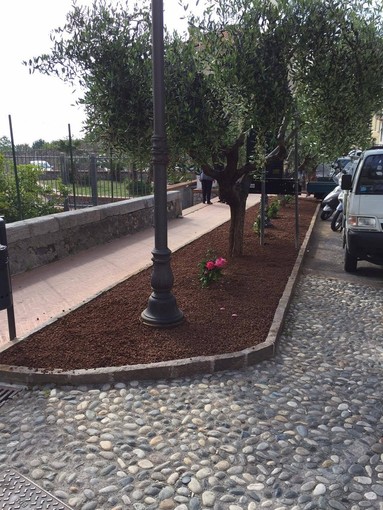 Adotta una aiuola a Toirano, un progetto per riqualificare il paese Adotta una aiuola a Toirano, un progetto per riqualificare il paese