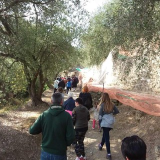 Andora, torna la Camminata fra gli Olivi