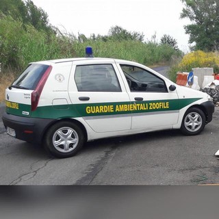 Cairo, via a un nuovo corso per Guardie Ambientali Zoofile Volontarie