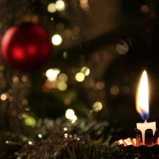 Festa dell’Immacolata: tempo di presepe e albero di Natale