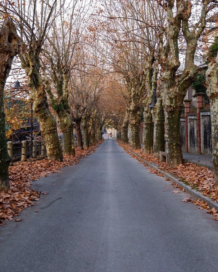 Altare celebra Aldo Capasso: mattonelle per ricordare il maestro del Realismo Lirico Altare celebra Aldo Capasso: mattonelle per ricordare il maestro del Realismo Lirico