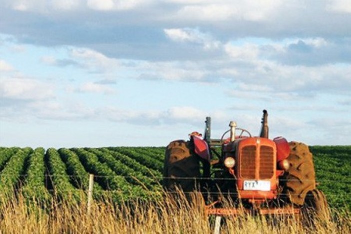 Patentitini per la macchine agricole, Coldiretti Savona:"Bene la proroga" Patentitini per la macchine agricole, Coldiretti Savona:"Bene la proroga"