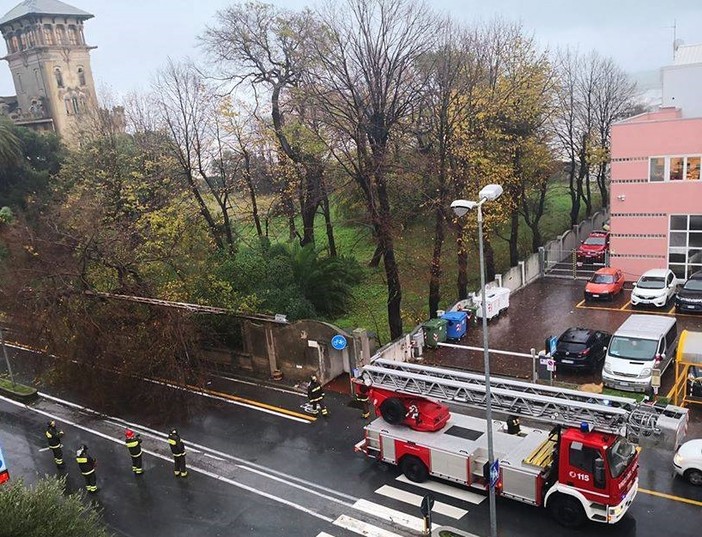 Foto dal gruppo Facebook "Savona è"