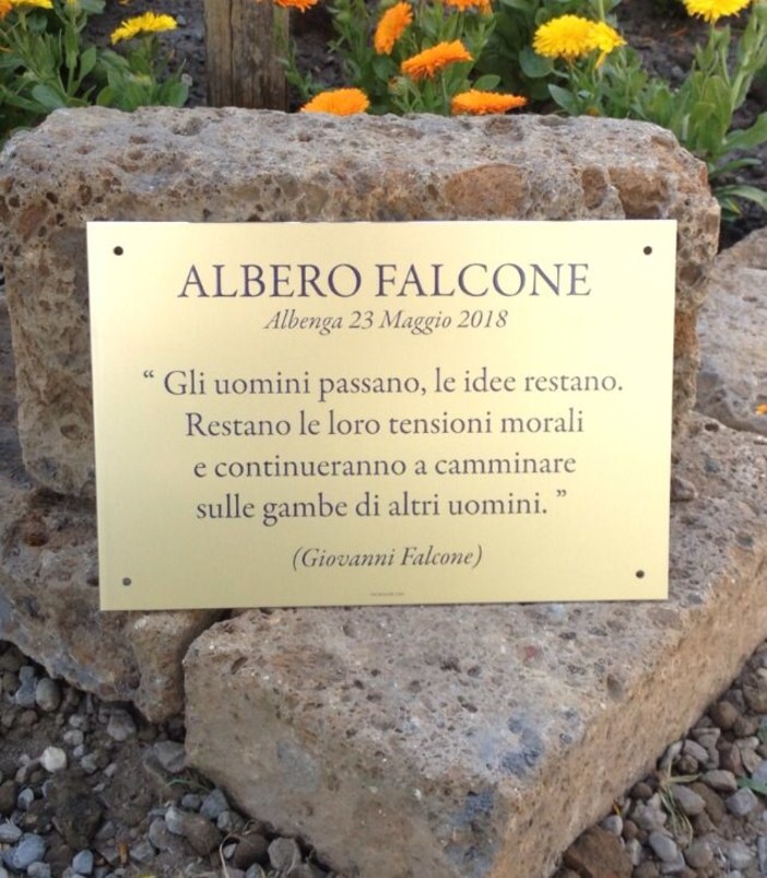 Ad Albenga verrà posizionato l’Albero Falcone