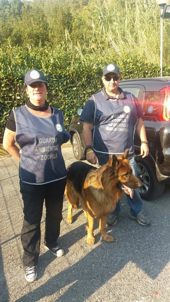 Alassio, i volontari dell'Accademia Kronos vigilano sulle aree verdi