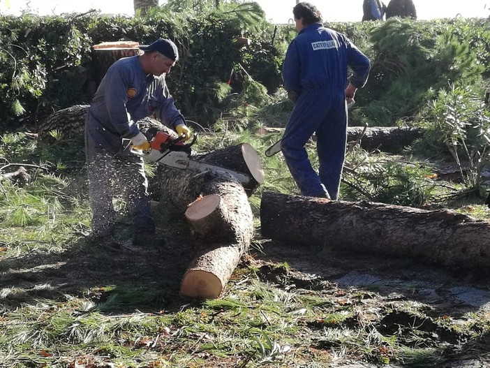 Andora al lavoro, obiettivo rialzarsi Andora al lavoro, obiettivo rialzarsi