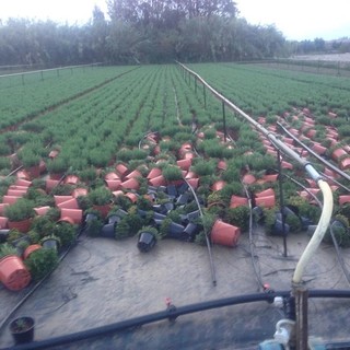 Mancati risarcimenti alluvione, il Pd attacca: "Toti dice che la Giunta ha mandato a novembre la richiesta, però il limite era fissato a luglio"