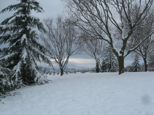 Confermato il maltempo nel weekend: piogge sulla costa, nevicate abbondanti in Val Bormida