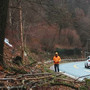 Calizzano, alberi e rami sulle strade causa neve: il Comune invita i proprietari terrieri a intervenire