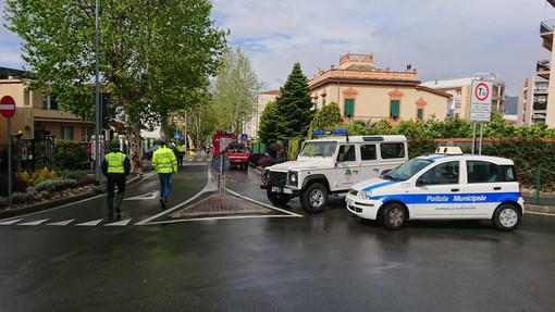 Albero pericolante ad Albisola: chiusa l'Aurelia (FOTO)