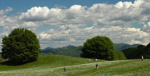 Il Maggio dei Parchi di Liguria