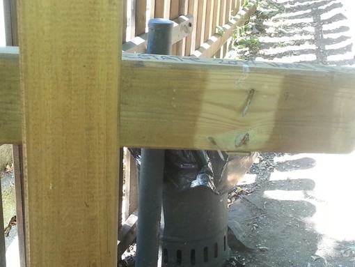 Finale Ligure, nessuno si cura dell'area riservata ai cani Finale Ligure, nessuno si cura dell'area riservata ai cani