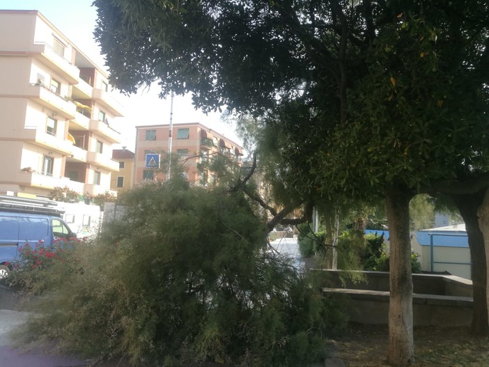 Pericolo per raffiche isolate di vento e trombe d'aria: interventi dei vigili del fuoco a Albissola, Savona e Albenga