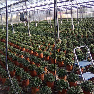 Albenga: a metà marzo sarà presentato un nuovo progetto idrico per l'agricoltura