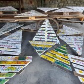 Alberi di Natale con materiale di riciclo per abbellire il paese: un successo l'iniziativa del comitato "Vivi Piana Crixia"