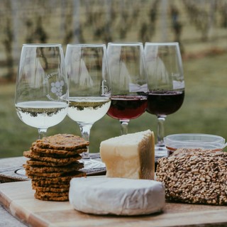Che Vino scelgo? Tutte le Regole di Abbinamenti Cibo-Vino