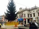 &quot;Savona si illumina&quot;: domenica 27 novembre la cerimonia di accensione dell'albero di Natale